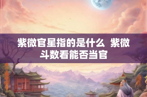 紫微官星指的是什么  紫微斗数看能否当官