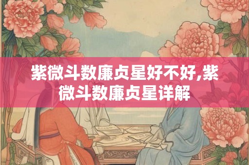 紫微斗数廉贞星好不好,紫微斗数廉贞星详解