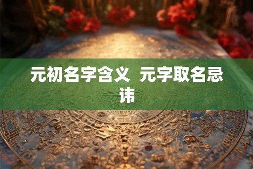 元初名字含义 元字取名忌讳 元初名字含义 元字取名忌讳