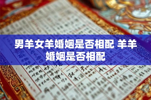 男羊女羊婚姻是否相配 羊羊婚姻是否相配
