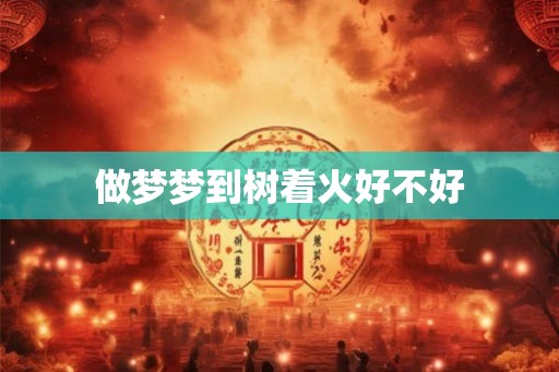 做梦梦到树着火好不好