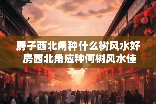 房子西北角种什么树风水好 房西北角应种何树风水佳