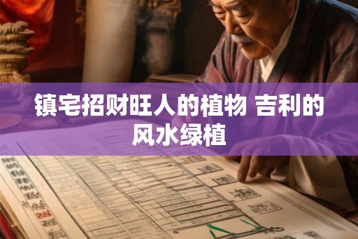 镇宅招财旺人的植物 吉利的风水绿植