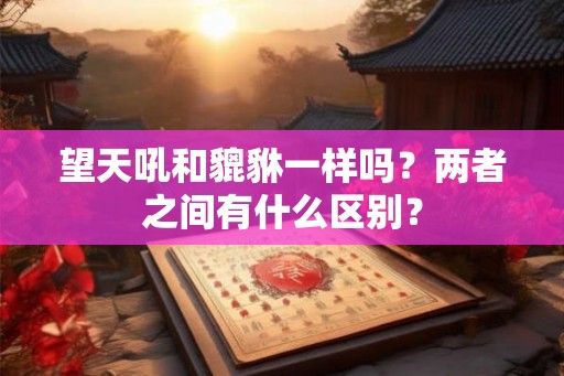 望天吼和貔貅一样吗？两者之间有什么区别？