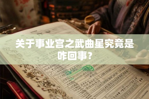 关于事业宫之武曲星究竟是咋回事？