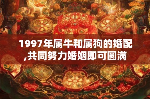 1997年属牛和属狗的婚配,共同努力婚姻即可圆满 1997年属牛和属狗的婚配,共同努力婚姻即可圆满