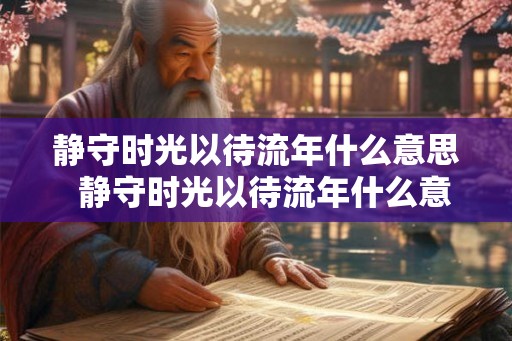 静守时光以待流年什么意思  静守时光以待流年什么意思