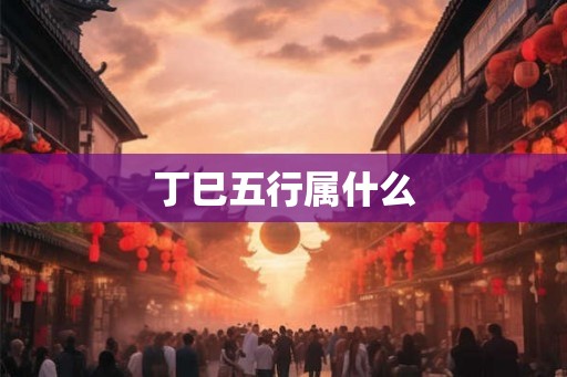 丁巳五行属什么
