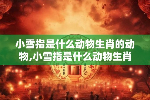 小雪指是什么动物生肖的动物,小雪指是什么动物生肖的动物图片 小雪指是什么动物生肖的动物,小雪指是什么动物生肖的动物图片