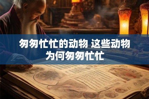 匆匆忙忙的动物 这些动物为何匆匆忙忙