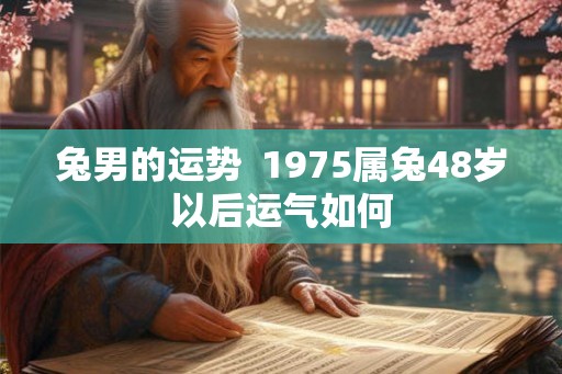 兔男的运势  1975属兔48岁以后运气如何