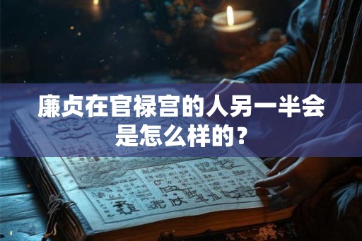 廉贞在官禄宫的人另一半会是怎么样的? 廉贞在官禄宫的人另一半会是怎么样的?