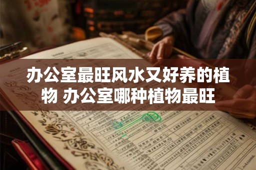 办公室最旺风水又好养的植物 办公室哪种植物最旺 办公室最旺风水又好养的植物 办公室哪种植物最旺
