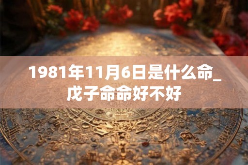 1981年11月6日是什么命_戊子命命好不好
