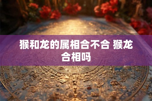 猴和龙的属相合不合 猴龙合相吗