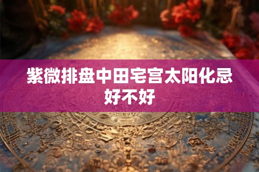 紫微排盘中田宅宫太阳化忌好不好