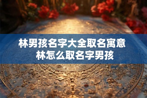林男孩名字大全取名寓意  林怎么取名字男孩