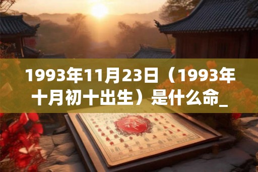 1993年11月23日（1993年十月初十出生）是什么命_命运如何