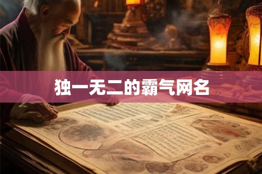 独一无二的霸气网名