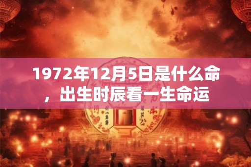 1972年12月5日是什么命，出生时辰看一生命运