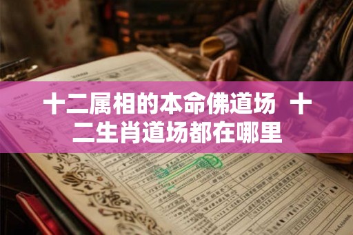 十二属相的本命佛道场 十二生肖道场都在哪里 十二属相的本命佛道场 十二生肖道场都在哪里