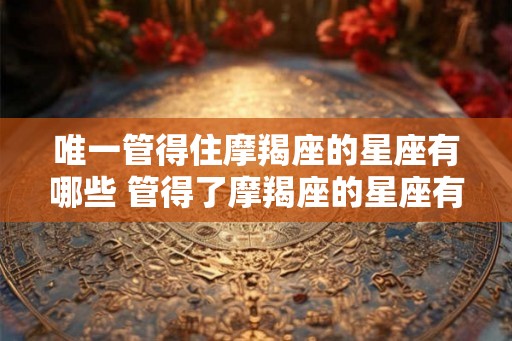 唯一管得住摩羯座的星座有哪些 管得了摩羯座的星座有哪些