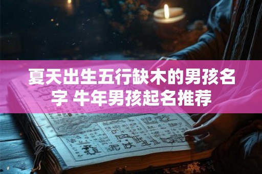 夏天出生五行缺木的男孩名字 牛年男孩起名推荐