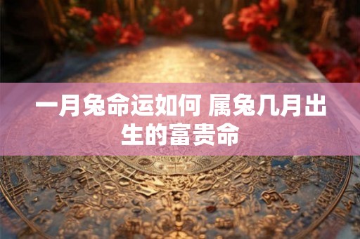 一月兔命运如何 属兔几月出生的富贵命 一月兔命运如何 属兔几月出生的富贵命