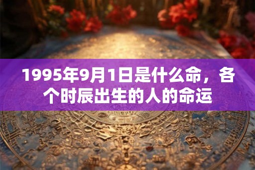 1995年9月1日是什么命，各个时辰出生的人的命运