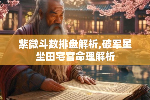 紫微斗数排盘解析,破军星坐田宅宫命理解析