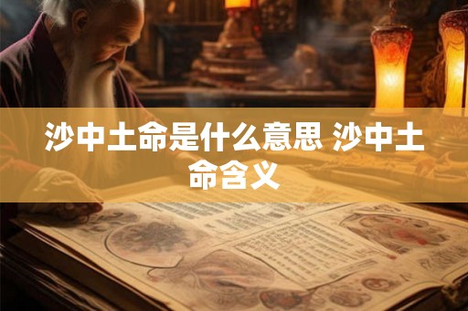 沙中土命是什么意思 沙中土命含义