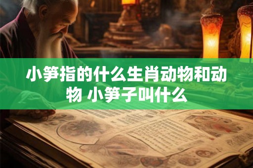 小笋指的什么生肖动物和动物 小笋子叫什么