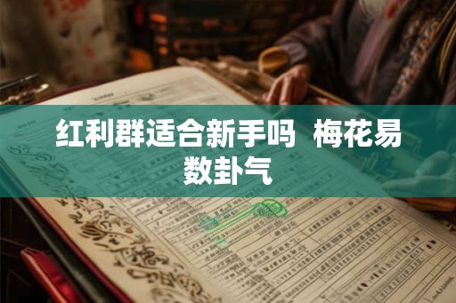 红利群适合新手吗  梅花易数卦气