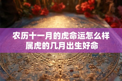 农历十一月的虎命运怎么样 属虎的几月出生好命