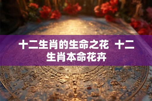 十二生肖的生命之花  十二生肖本命花卉