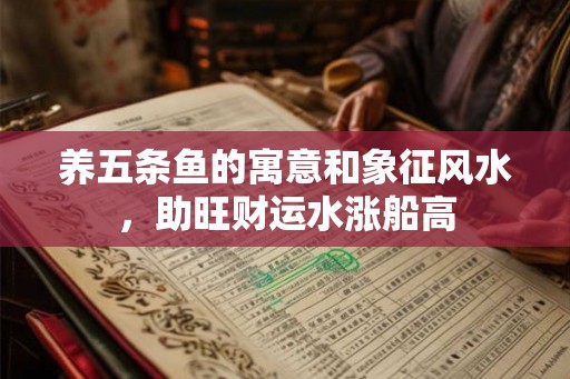 养五条鱼的寓意和象征风水，助旺财运水涨船高