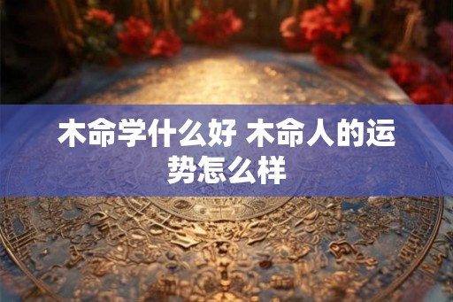 木命学什么好 木命人的运势怎么样