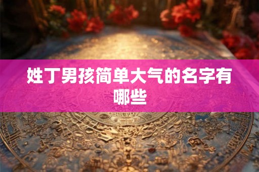 姓丁男孩简单大气的名字有哪些