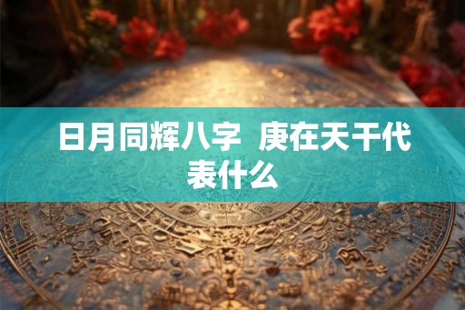 日月同辉八字  庚在天干代表什么