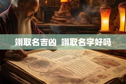 翊取名吉凶  翊取名字好吗