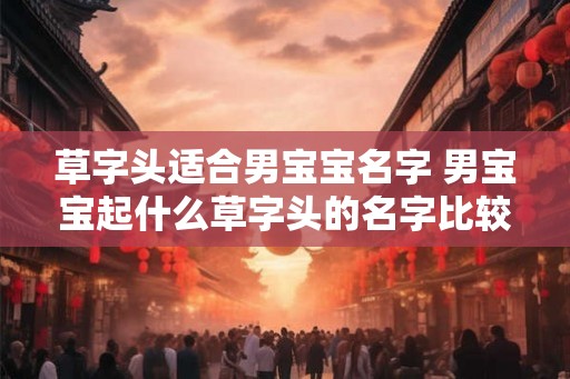 草字头适合男宝宝名字 男宝宝起什么草字头的名字比较好 草字头适合男宝宝名字 男宝宝起什么草字头的名字比较好