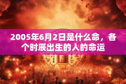 2005年6月2日是什么命，各个时辰出生的人的命运
