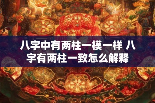 八字中有两柱一模一样 八字有两柱一致怎么解释 八字中有两柱一模一样 八字有两柱一致怎么解释