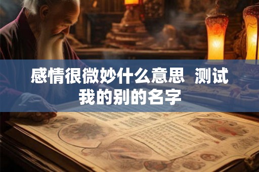 感情很微妙什么意思  测试我的别的名字