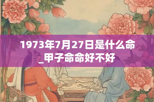1973年7月27日是什么命_甲子命命好不好