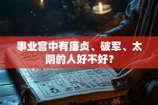 事业宫中有廉贞、破军、太阴的人好不好？