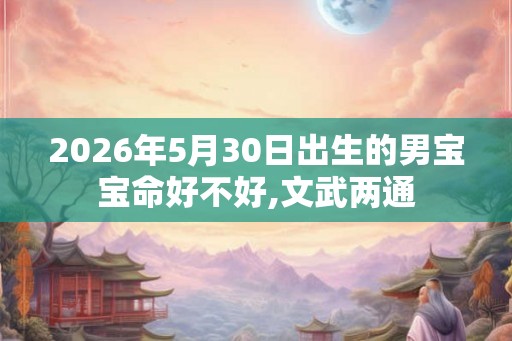 2026年5月30日出生的男宝宝命好不好,文武两通
