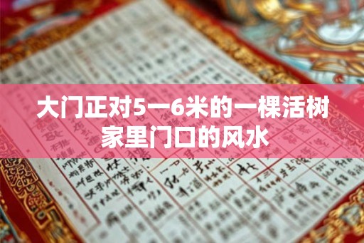 大门正对5一6米的一棵活树 家里门口的风水