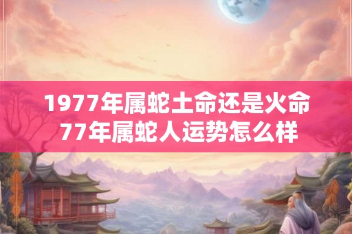1977年属蛇土命还是火命 77年属蛇人运势怎么样