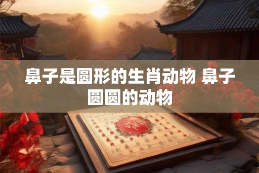 鼻子是圆形的生肖动物 鼻子圆圆的动物